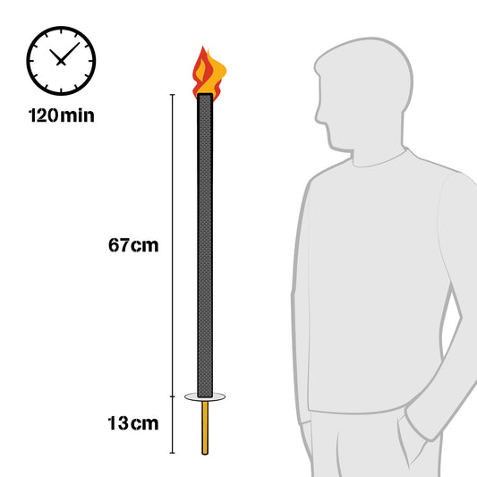 KZ1185_2.jpg